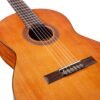 Aquila 7/8 Size Classical Guitar Review Exploring Cedar Top and Nylon Strings Performance Aquila 7/8 Size Classical Guitar Review Exploring Cedar Top and Nylon Strings Performance