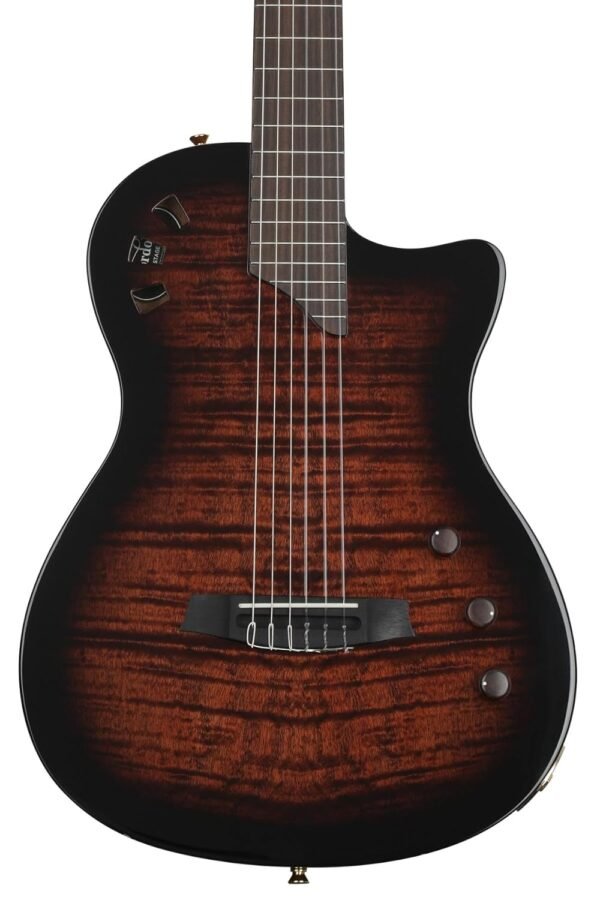 Cordoba Stage 6 String Electric Guitar for Live Performances & Studio Recording, Right-Handed, Solid Spruce Top, Chambered Solid Body, Cutaway, Fusion Neck, Recycled Nylon Shell...