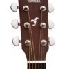 Yamaha FG800J NT Acoustic Guitar Review Best Beginner Steel String Sound Quality